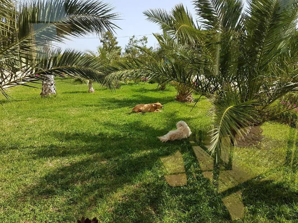 Les Jardins De Mogador Yoga Et Spa Essaouira Marocco