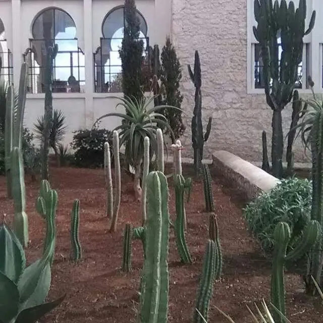 Les Jardins De Mogador Yoga Et Spa Essaouira